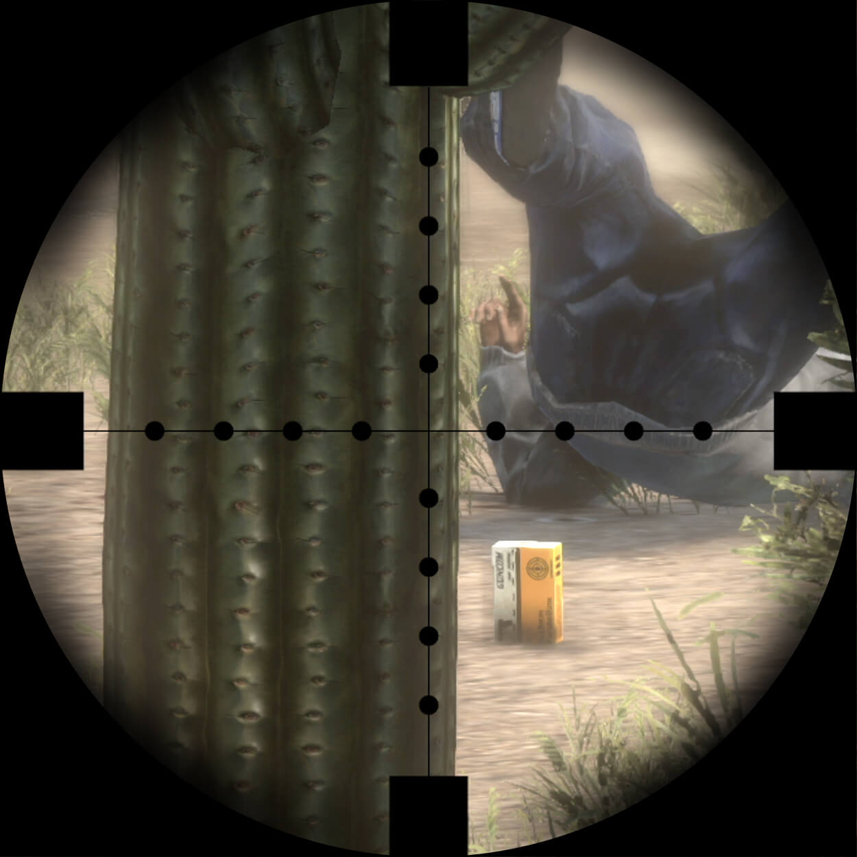 Intro Image